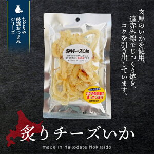 炙りチーズいか【52g】山一食品 不二屋本店 北海道 お土産 珍味 おつまみ おやつ お菓子 肴 ギフト プレゼント お取り寄せ