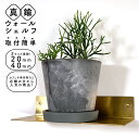 ウォールシェルフ 真鍮 棚 壁面 賃貸 インテリア 20cm 40cm ネジ止め ゴールド