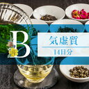 和漢体質茶 【Bタイプ（気虚質）】14日間分 健康茶 ティーパック 紅茶 体質茶　5g×14パック