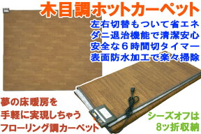 【送料無料】【売れてます】【日本製だから安心】　三京　2畳フローリング調ホットカーペット　HT-20FL 【沖縄・北海道は除く】　【smtb-u】