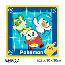 ポケモン ハンカチ{雑貨 キャラクター}{ギフト 誕生日 プレゼント 景品}{イベント 子ども会 幼稚園 施設}[子供会 保育園 幼稚園 景品 イベント お祭り プレゼント 人気]【色柄指定不可】【不良対応不可】