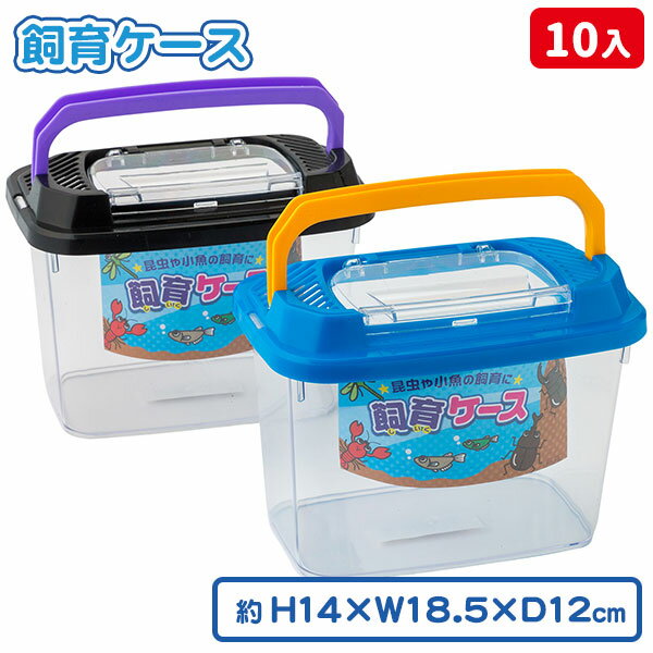 飼育容器{飼育ケース プラケース 虫かご むしかご 飼育 セット 夏休み 自由研究 小学生 小学校 生活 子供 子ども会 施設}[子供会 保育園 幼稚園 景品 イベント お祭り プレゼント 人気]【色柄指定不可】【不良対応不可】