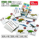 恐竜図鑑かるた{玩具 おもちゃ ギフト 誕生日 子ども会 施設}