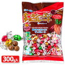 オールシーズンチョコ バレンタイン お菓子 チョコレート 徳用 大袋 個包装 小分け 配布 問屋 業務用 子ども会 施設 子供会 保育園 幼稚園 景品 イベント お祭り プレゼント 人気 【色柄指定不可】【不良対応不可】