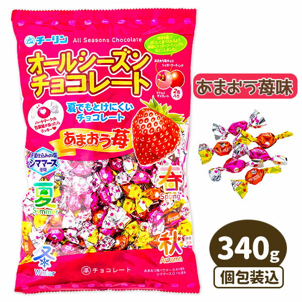 オールシーズンチョコ あまおう苺{バレンタイン お菓子 駄菓