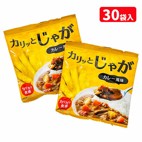 カリッとじゃが カレー風味{お菓子 駄菓子 徳用 個包装 小分け 配布 問屋 業務用 子ども会 施設}[子供会 保育園 幼稚園 景品 イベント お祭り プレゼント 人気]【色柄指定不可】【不良対応不可】の商品画像