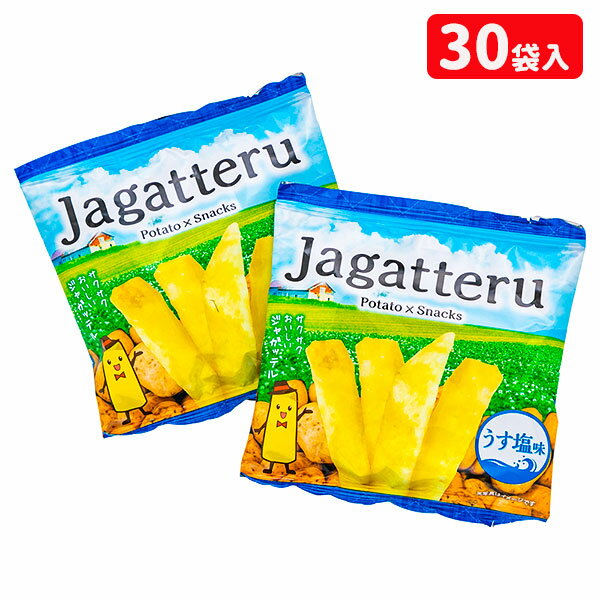 じゃがってる うす塩味{お菓子 駄菓子 徳用 個包装 小分け 配布 問屋 業務用 子ども会 施設}[子供会 保育園 幼稚園 景品 イベント お祭り プレゼント 人気]【色柄指定不可】【不良対応不可】の商品画像