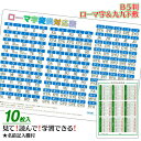 B5判 ローマ字&九九下敷{ 文具 学習 学用品 九九 ローマ字 勉強 下敷き したじき ギフト 誕生日 子ども会 施設 }[ 子供会 保育園 幼稚園 景品 イ...