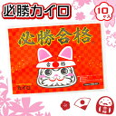 必勝カイロ 雑貨 合格 縁起物 受験生 応援 必勝 防寒 グッズ ギフト 誕生日 子ども会 施設 子供会 保育園 幼稚園 景品 イベント お祭り プレゼント 人気 【色柄指定不可】【不良対応不可】