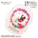 くまのがっこう ランチボックス{ 雑貨 弁当箱 キャラクター }{ ギフト 誕生日 }{ 子ども会 施設 }[ 子供会 保育園 幼稚園 景品 イベント お祭り ...