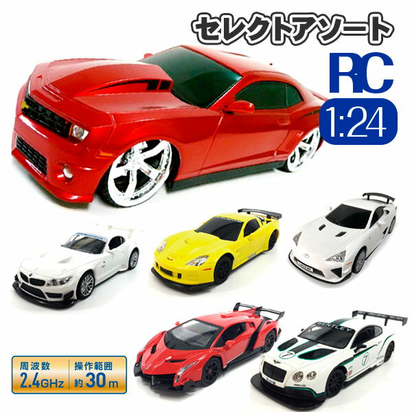 RC 1：24 セレクトアソート{玩具 おもちゃ ラジコン ラジコンカー ギフト 誕生日 子ども会 施設}[子供会 保育園 幼稚園 景品 イベント お祭り プレゼント 人気]【色柄指定不可】