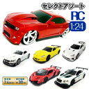 RC 1:24セレクトアソート{ 玩具 おもちゃ ラジコン ラジコンカー ギフト 誕生日 子ども会 施設 }[ 子供会 保育園 幼稚園 景品 イベント お祭り ...