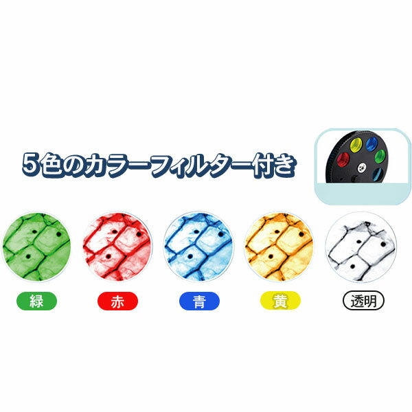 こどもモール　タイガーキャットのLEDライト付顕微鏡{ 顕微鏡 観察 自由研究 雑貨 ギフト 誕生日 }{ 子ども会 施設 }[ 子供会 保育園 幼稚園 景品 イベント お祭り プレゼント 人気 ]【色柄指定不可】｜アングル3