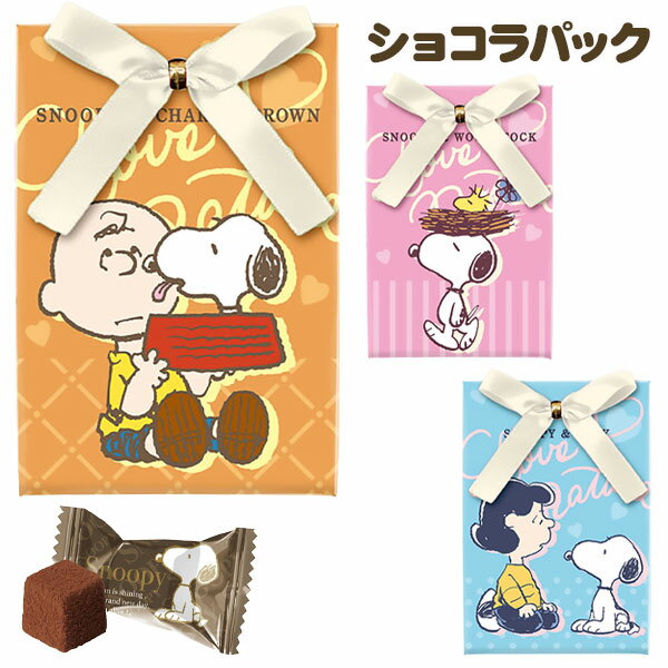 スヌーピー ショコラパック{ キャラクター お菓子 チョコレート バレンタイン ギフト お子様ランチ 子ども会 施設 }[ 子供会 保育園 幼稚園 景品 イベント お祭り プレゼント 人気 ]【色柄指定不可】【不良対応不可】のサムネイル