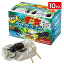 発掘甲虫コレクション{ 玩具 おもちゃ 発掘 キット おもしろ ギフト 誕生日 子ども会 施設 }[ 子供会 保育園 幼稚園 景品 イベント お祭り プレゼント...