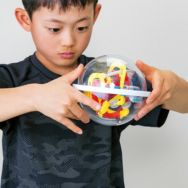 脳トレゲーム100巡礼の迷宮{ 玩具 おもちゃ パズル 知育 ギフト 誕生日 子ども会 施設 }[ 子供会 保育園 幼稚園 景品 イベント お祭り プレゼント 人気 ]【色柄指定不可】 2