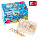 発掘貝殻コレクション{ 玩具 おもちゃ 発掘 キット おもしろ ギフト 誕生日 子ども会 施設 }[ 子供会 保育園 幼稚園 景品 イベント お祭り プレゼント...