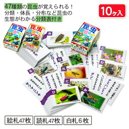 昆虫図鑑かるた{玩具 おもちゃ ギフト 誕生日 子ども会 施設}[子供会 保育園 幼稚園 景品 イベント お祭り プレゼント 人気]【色柄指定不可】【不良対応不可】