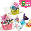 【季節外商品の為値下:賞味期限2025/7/28】訳あり!さくらカップギフト{ お菓子 詰め合わせ }{ 徳用 配布 施設 }[ 子供会 保育園 幼稚園 景品 ...