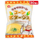 テキサスコーン コーンポタージュ味{お菓子 駄菓子 スナック菓子 徳用 個包装 小分け 配布 問屋 業務用 子ども会 施設}[子供会 保育園 幼稚園 景品 イベント お祭り プレゼント 人気]【色柄指定不可】【不良対応不可】の商品画像