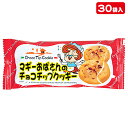 マギーおばさんのチョコチップクッキー{ お菓子 徳用 個包装 小分け 配布 問屋 業務用 子ども会 施設 }[ 子供会 保育園 幼稚園 景品 イベント お祭り ...