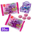チューキャングレープ{ お菓子 駄菓子 徳用 個包装 小分け 配布 問屋 業務用 子ども会 施設 }[ 子供会 保育園 幼稚園 景品 イベント お祭り プレゼン...