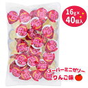 スーパーミニゼリー りんご{ お菓子 駄菓子 }{ 徳用 個包装 小分け 配布 問屋 業務用 景品 }{ 子ども会 施設 }[ 子供会 保育園 幼稚園 景品 イ...