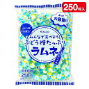 みんなで食べよう!ぶどう糖たっぷりラムネ{ お菓子 まとめ買い ラムネ }{ ギフト 誕生日 }{ 子ども会 施設 }[ 子供会 保育園 幼稚園 景品 イベント...