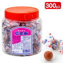 カリカリ信玄梅{ 梅干し 漬物 お菓子 駄菓子 おやつ おつまみ }{ 徳用 個包装 小分け 配布 問屋 業務用 }{ 子ども会 施設 }[ 子供会 保育園 幼...