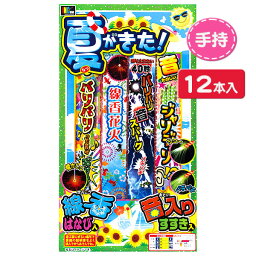 夏がきた！{花火 夏祭り 縁日 景品}{イベント 子ども会 幼稚園 施設}[子供会 保育園 幼稚園 景品 イベント お祭り プレゼント 人気]【色柄指定不可】【不良対応不可】