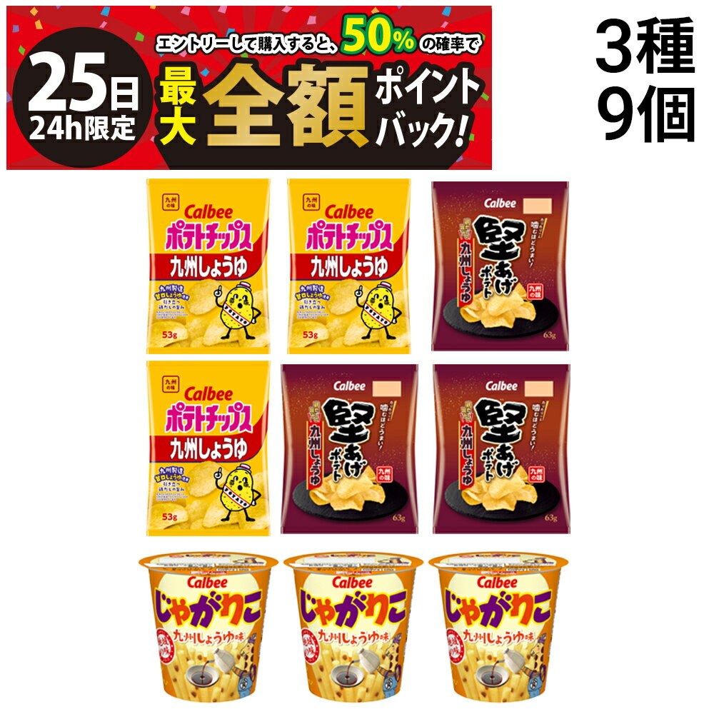 【11/25限定！50％で最大全額ポイントバック】【 送料無料 最強配送 】 ポテトチップス 堅あげポテト ..