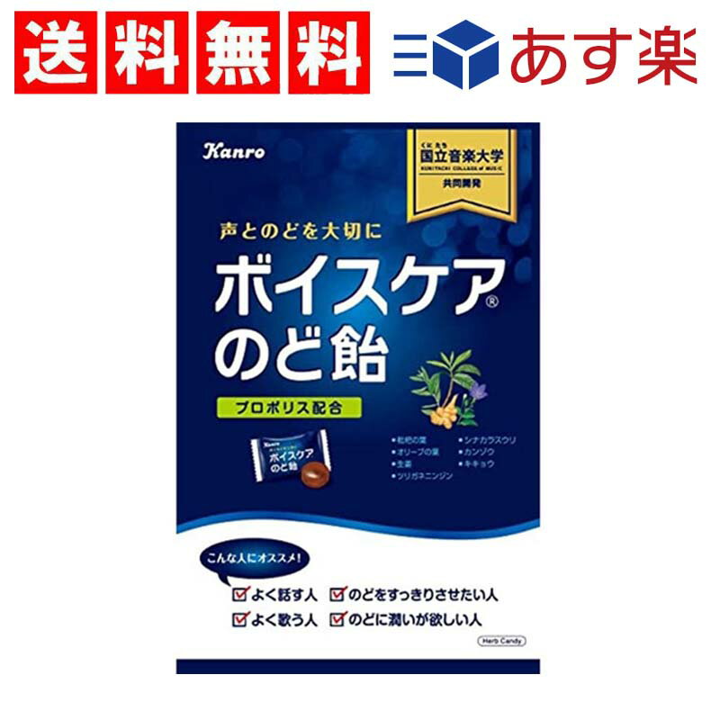 【送料無料】カンロ ボイスケアのど飴 563g×1袋 大容量パック