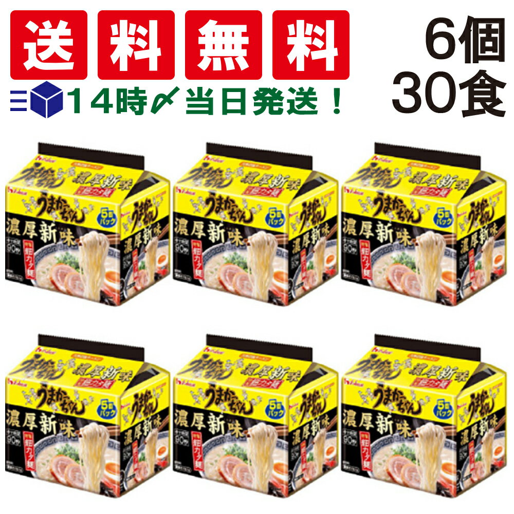 ハウス食品 うまかっちゃん 濃厚新味 1食 84g 5食パック × 6個 計30食分（1ケース） 袋麺 インスタント 即席 らーめん 防災 ストック 仕送り 保存食 非常食 まとめ買い 備蓄 差し入れ ギフト