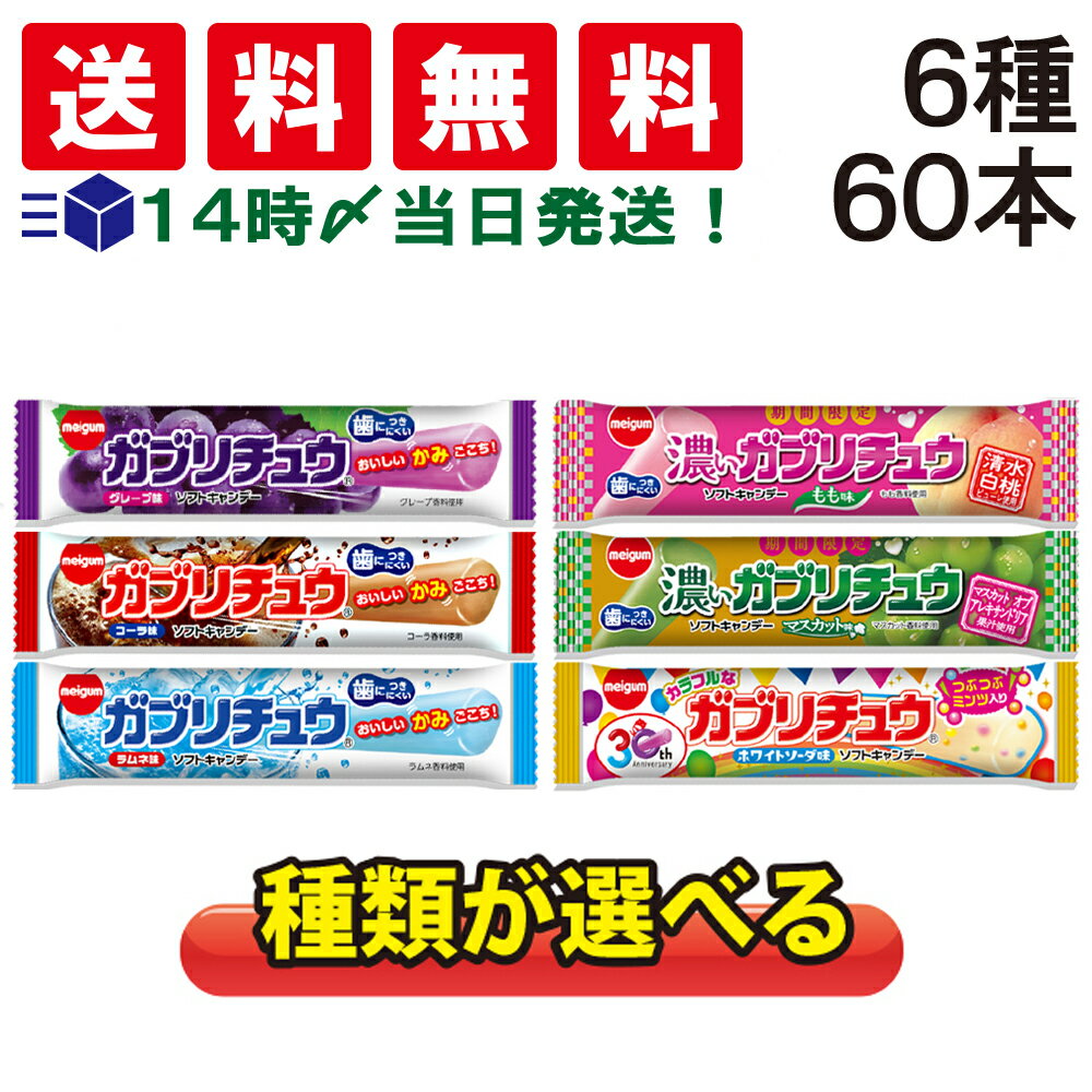 ガブリチュウ 3種 ×各10本 計30本 ＋6種から 選べる 30本 計60本 セット 1993年の発売以来、子供から大人までたくさんの人たちに愛されてきたガブリチュウは、バータイプの噛んで食べられるソフトキャンデーです。 「がぶり！」と食べられるボリューミーなサイズと独特な食感、フルーツやジュースなどたくさんの味のバリエーションが魅力です。 【セット内容】 ガブリチュウ　30本 ・ガブリチュウ グレープ　12g ×10本 ・ガブリチュウ コーラ　12g ×10本 ・ガブリチュウ ラムネ　12g ×10本 6種から選べる3種類　30本（以下の種類からお好きな組み合わせをお選びください） ・ガブリチュウ グレープ　12g ×10本 ・ガブリチュウ コーラ　12g ×10本 ・ガブリチュウ ラムネ　12g ×10本 ・濃いガブリチュウ もも　16g ×10本 ・濃いガブリチュウ マスカット　16g ×10本 ・カラフルなガブリチュウ　16g ×10本 計60本 商品情報 商品の説明 ボリューミーなサイズと独特な食感が魅力のソフトキャンディのアソートセットです。 主な仕様 ガブリチュウ 3種 ×各10本 計30本 ＋6種から 選べる 30本 計60本 ( グレープ、コーラ、ラムネ、もも、マスカット、カラフル )