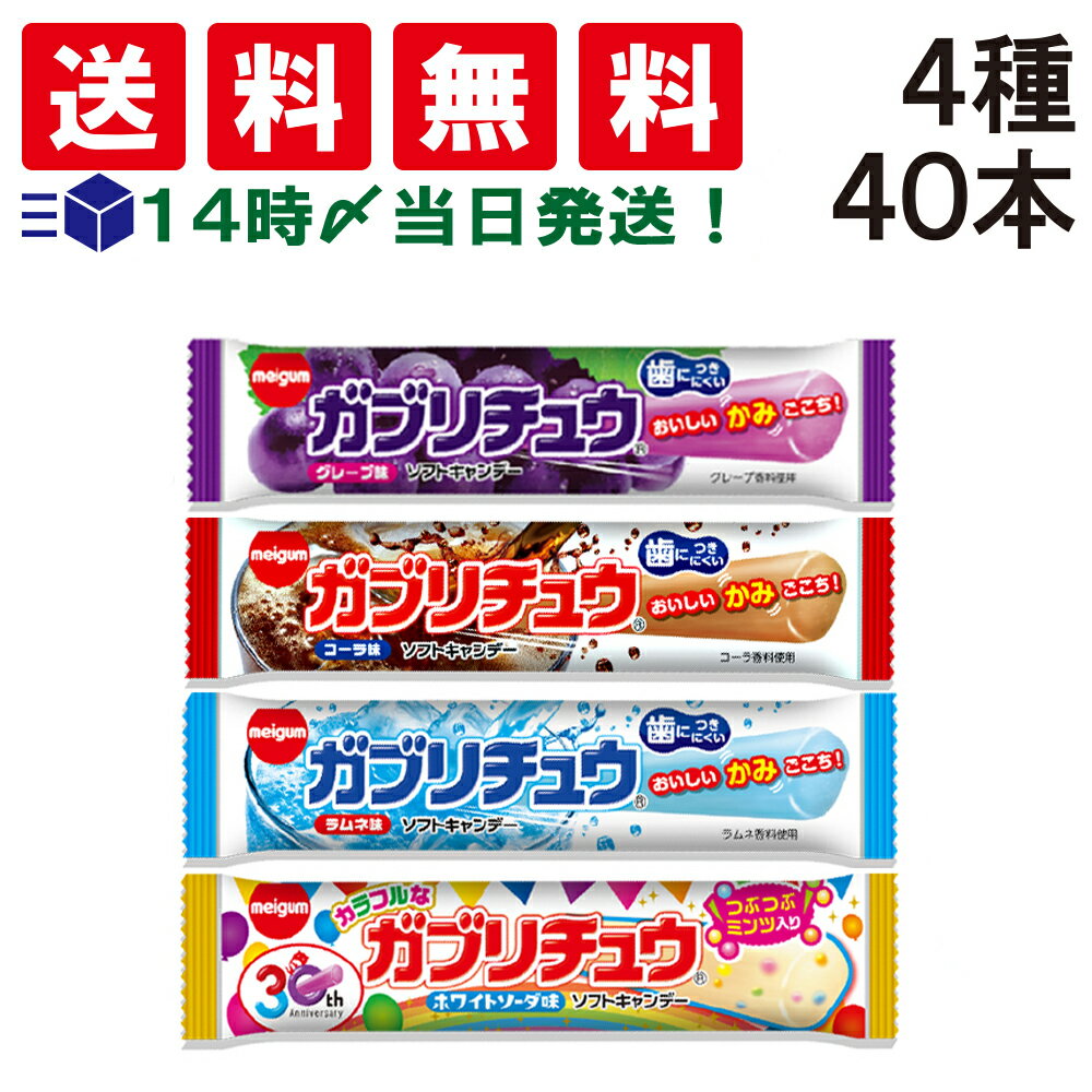 ガブリチュウ 4種 ×各10本 計40本 セット 1993年の発売以来、子供から大人までたくさんの人たちに愛されてきたガブリチュウは、バータイプの噛んで食べられるソフトキャンデーです。 「がぶり！」と食べられるボリューミーなサイズと独特な食感、フルーツやジュースなどたくさんの味のバリエーションが魅力です。 【セット内容】 ・ガブリチュウ グレープ　12g ×10本 ・ガブリチュウ コーラ　12g ×10本 ・ガブリチュウ ラムネ　12g ×10本 ・カラフルなガブリチュウ　16g ×10本 計40本 商品情報 商品の説明 ボリューミーなサイズと独特な食感が魅力のソフトキャンディのアソートセットです。 主な仕様 ガブリチュウ 4種 40個 ( コーラ ×10個 グレープ ×10個 ラムネ ×10個 カラフル ×10個 )