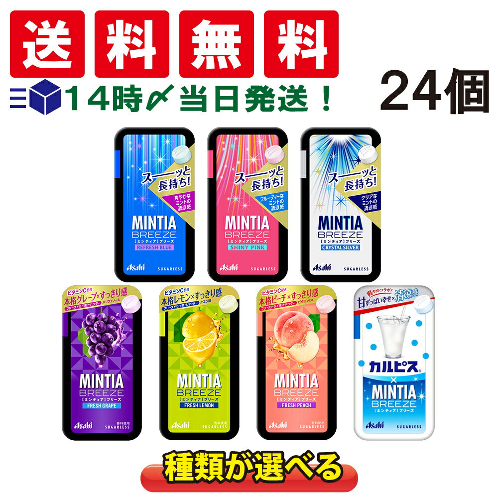 アサヒグループ食品 ミンティア MINTIA ワイルド＆クール (10×20)200入 (Y80)(ケース販売) (本州送料無料)