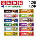 【 送料無料 】 大塚製薬 ソイジョイ 新商品 黒ゴマ 入り 12種 各1本 計12本 詰め合わせ アソート セット まとめ買い