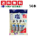 【 入荷待ち 】 丸三玉木屋 塩ようかん 14本 1袋 まとめ買い