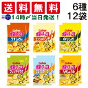 【 送料無料 あす楽 】 カルビー ポテトチップス 6種類 ×各2個 12袋 食べ比べ 詰め合わせ アソート セット ( うすしお コンソメパンチ のりしお ごほうびチーズ フレンチサラダ 九州しょう