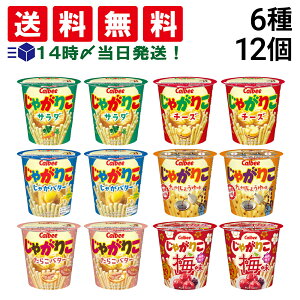 【 送料無料 最強配送 】 カルビー じゃがりこ 6種 各2個 食べ比べ 12個 詰め合わせ アソート セット ( サラダ チーズ じゃがバター 九州しょうゆ たらこバター 梅 ) まとめ買い