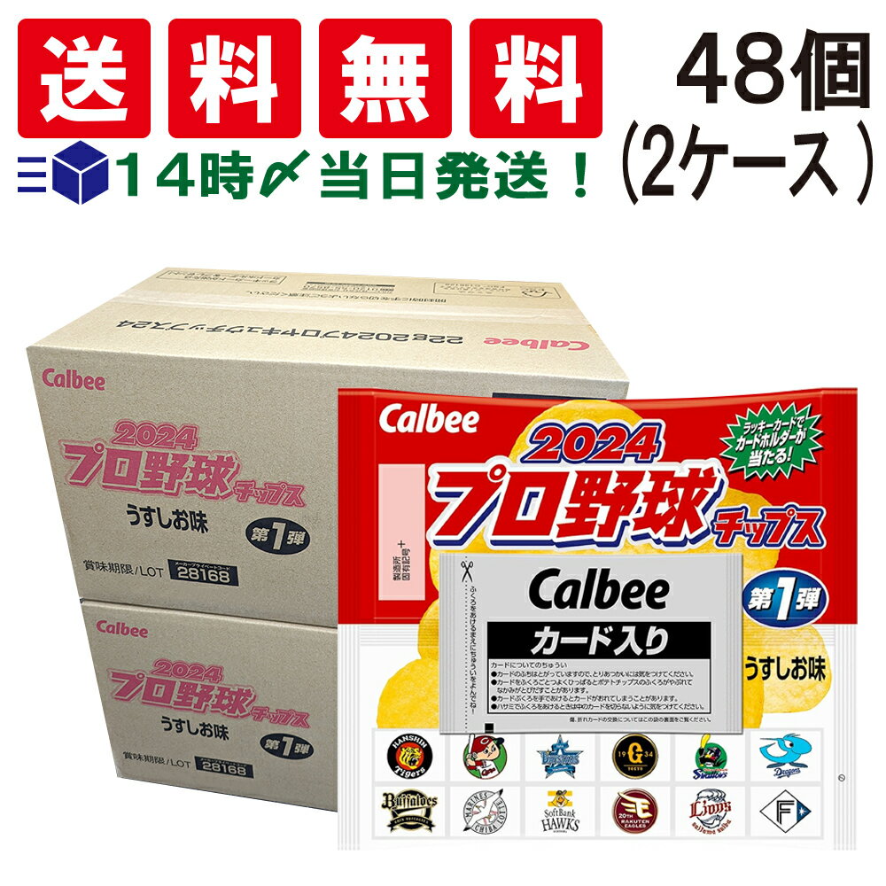 【 送料無料 あす楽 】 カルビー 2024 プロ野球チップス 22g×24個×2箱の商品画像