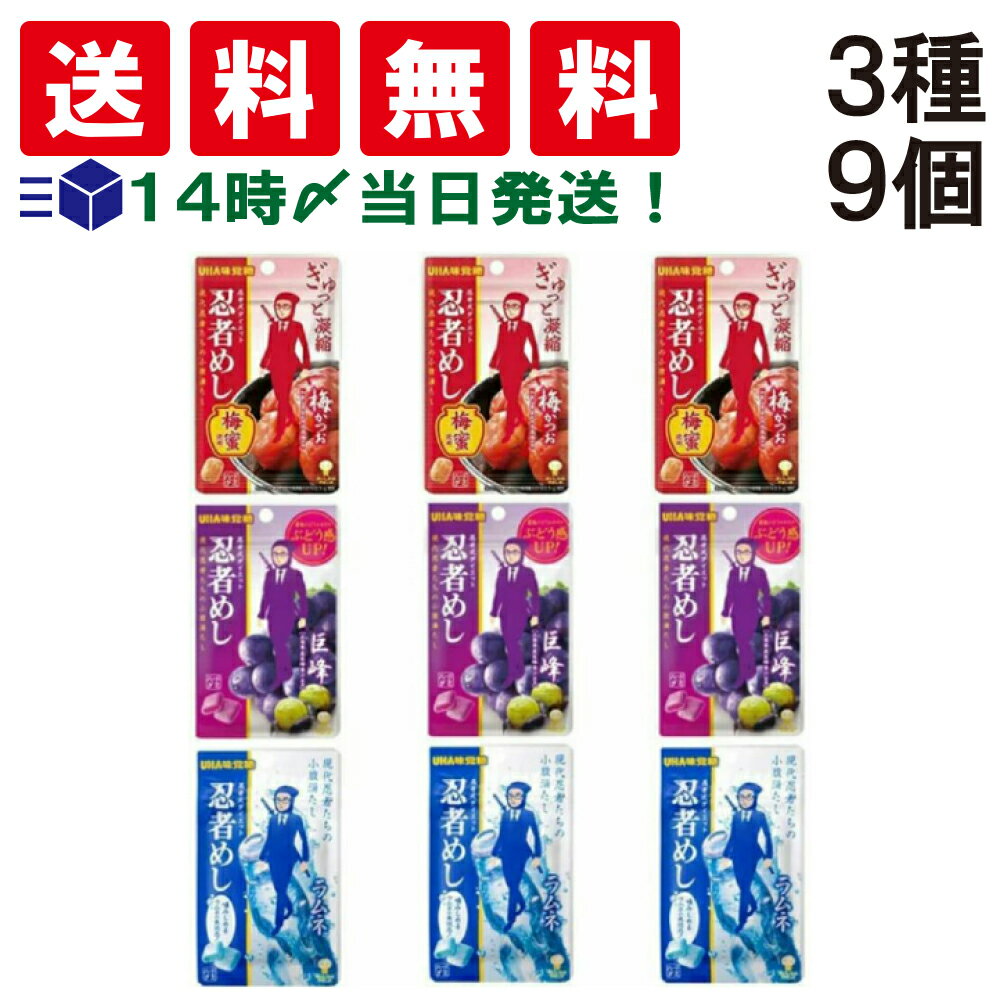 楽天TIGTIG　楽天市場店【 送料無料 あす楽 】 忍者めし 食べ比べ 詰め合わせ アソート 3種×各3（ 梅かつお　巨峰　ラムネ ）計9個 セット まとめ買い ぐみ つめあわせ おやつ 軽食 小分け 小袋 個包装 お試し バラエティ 食べきり サイズ お菓子