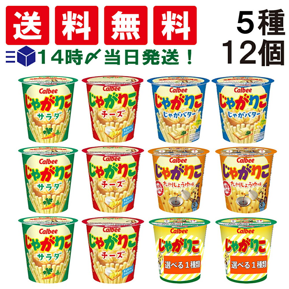 【 送料無料 あす楽 】 カルビー じゃがりこ 5種 食べ比べ 計12個 詰め合わせ アソート セット サラダ チーズ じゃがバター 九州しょうゆ たらこバター 【 まとめ買い 】ケース 販売