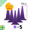 カラーコーン 三角コーン 紫 5本セット おしゃれ かわいい カラフル コーン むらさき パープル お買得 高さ70cm 派手 フェス フルーツ狩り 現場 イベント 店舗 サッカー 観戦