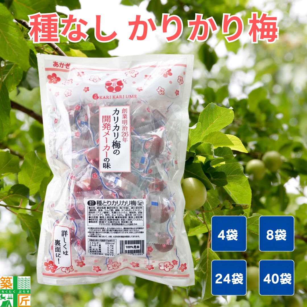【ポイント2倍】【お得な大口セットあり】赤城フーズ 種とり 種なし カリカリ梅 業務用 あかぎ 210g 大容量 4袋〜 熱中症 対策 塩分補給 個包装 現場 工場 倉庫 ハイキング 野外 イベント 行楽