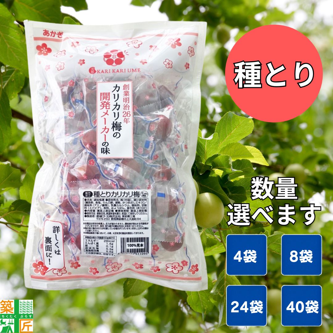 【お買い物マラソン ポイント5倍】【お得な大口セットあり】赤城フーズ 種とり 種なし カリカリ梅 業務用 あかぎ 210g 大容量 4袋〜 熱中症 対策 塩分補給 個包装 現場 工場 倉庫 ハイキング 野外 イベント 行楽