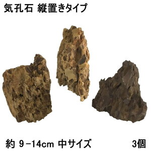 水槽用石 水槽石 岩 気孔石 縦置き 約12-14cm 中サイズ 3個 アクアリウム 水槽用 石 水槽 レイアウト 自然石 天然石 アクアリウムストーン レイアウトストーン 大きい 石組み アクアリウム用品 アクアリウムロック 装飾 45cm水槽向け