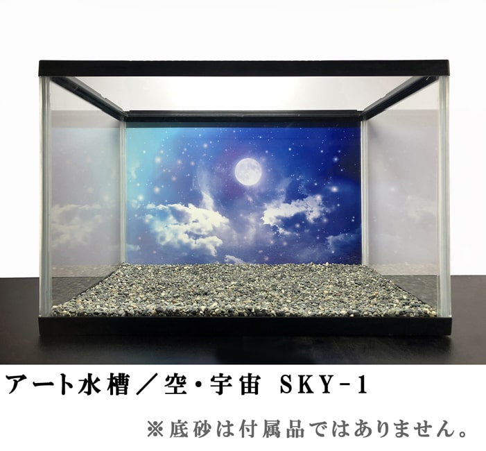 水槽 アクアリウム アート水槽 【空・宇宙シリーズ】 幅60×奥行30×高さ36cm おしゃれ デザイン ガラス水槽 水槽アート バックスクリーン 背景 レイアウト 水槽内装 装飾 インテリア 60cm