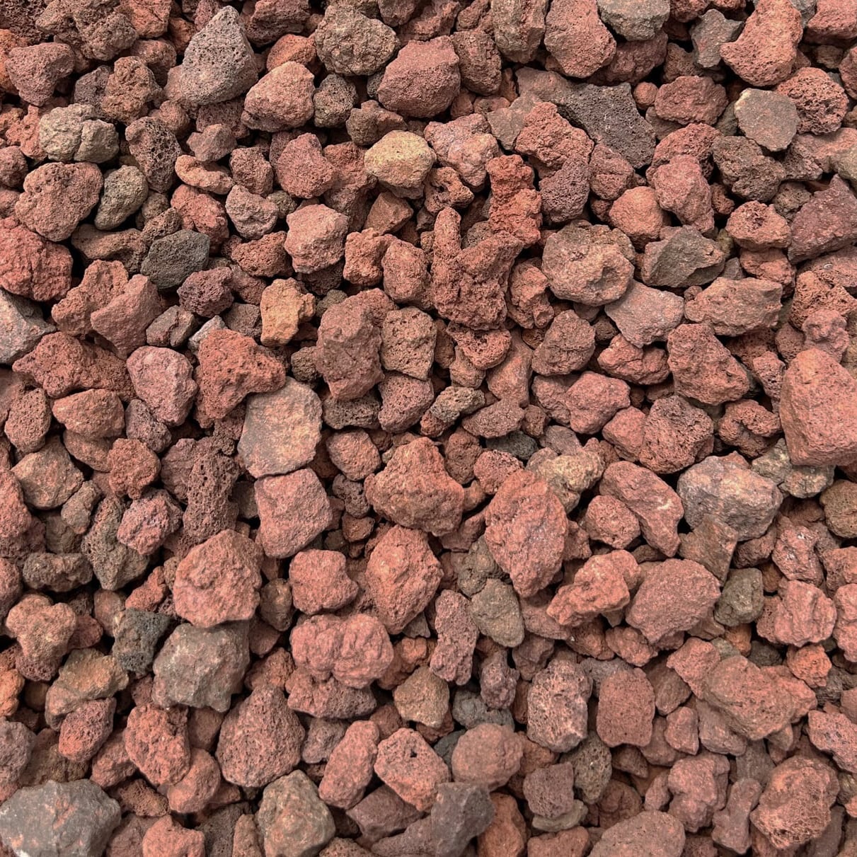 ガーデニング 溶岩 砂利 庭 溶岩石 赤 伊豆赤溶岩 スコリア 12kg 約5-25mm 火山砂利 レッド 火山石 火山岩 マルチング 庭砂利 庭石 ドライガーデン 石 茶色 赤茶 ブラウン ガーデンストーン