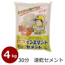 30分 速乾 インスタントセメント 4kg セメント コンクリート部分の補修 花壇・ブロック塀の補修